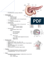 Anatomija Pankreas