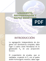 Presentacion Ligamiento-Gen - Tico-Recombinaci - n-y-Mapas-Gen - Ticos PDF