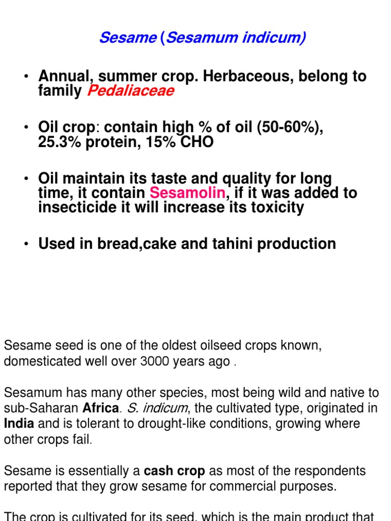 Sesame PDF Sesame Cooking Oil