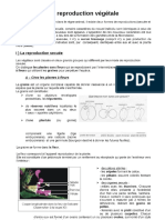 Reproduction des plantes.pdf