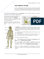 Lesson 06 Nervous & Endocrine Systems PDF