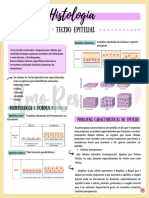 Histologia Mapa Mental 87756