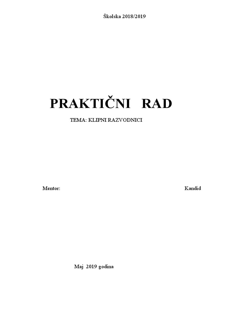 Maturski Rad - Kopija | PDF