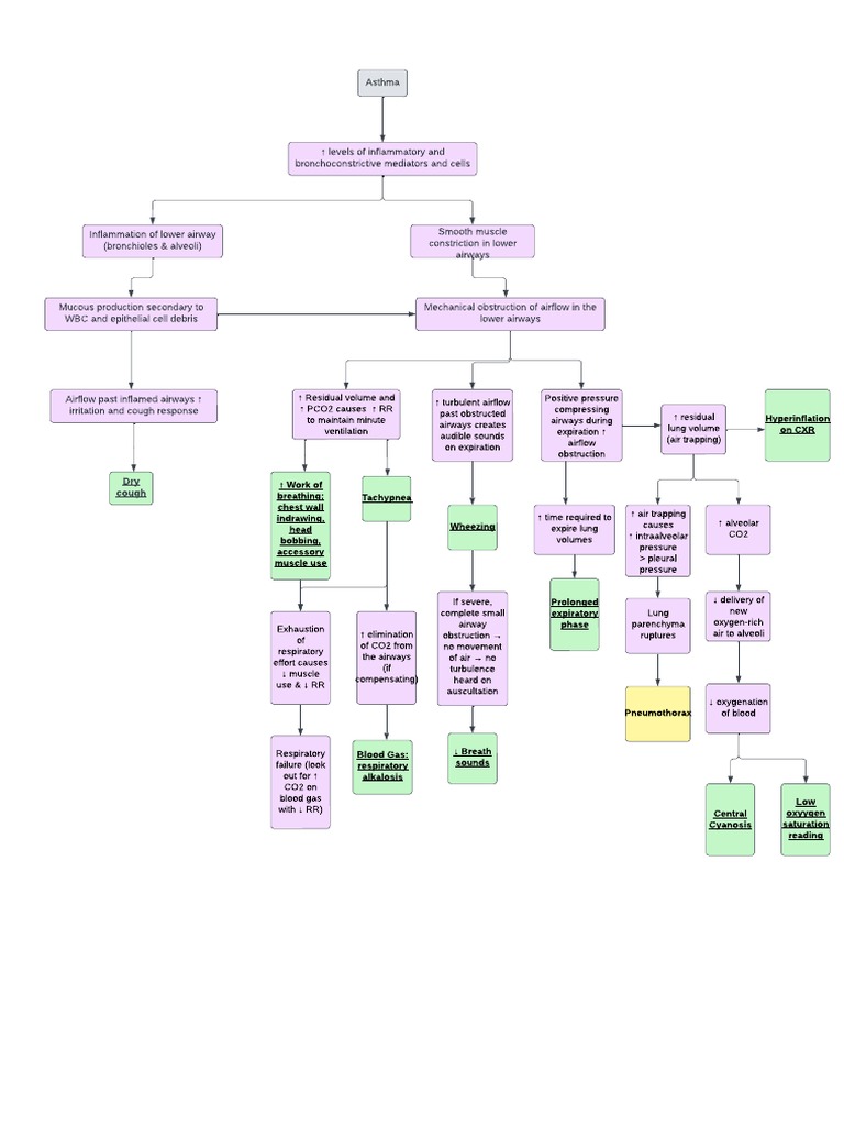 Pathophysiology | PDF | Respiratory Tract | Lung