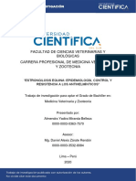 Estrongilosis equina: epidemiología, control y resistencia a antihelmínticos