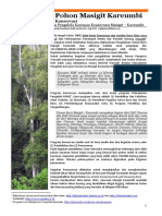 Factsheet Wali Pohon v6