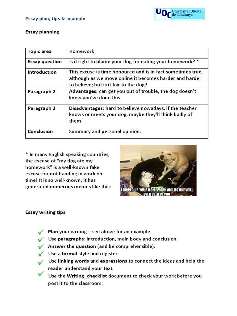 Essay Plan Tips Example | PDF | Essays | Cognition