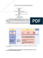 Construção de Genes Quiméricos