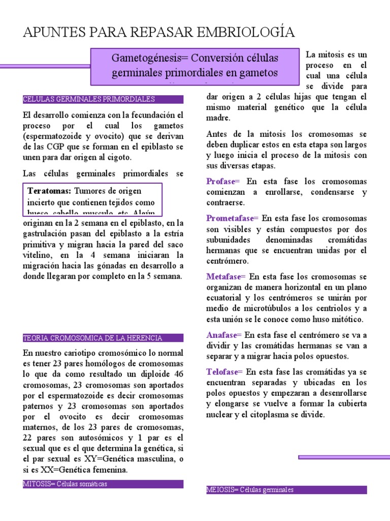 Celulas Germinales Primordiales PDF Hormona luteinizante Cromosoma