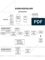 Esquema Proceso Penal