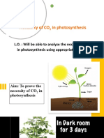 Necessity of CO2 for Photosynthesis
