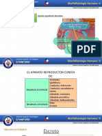 UNI 1-MORFOFISIOLOGIA 2-Enfermeria