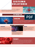 Sistema Circulatorio