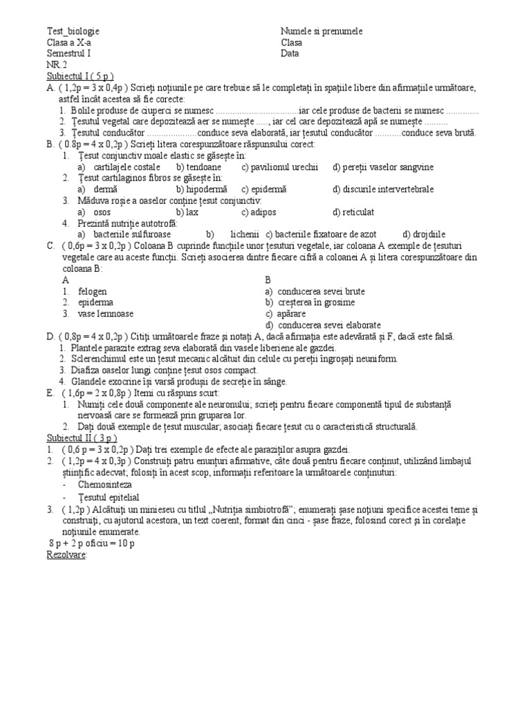 Cls 10 - Test - nr2 - Sem 1 | PDF