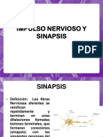 Sinapsis PDF