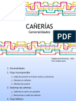 CAÑERÍAS-Generalidades 2023