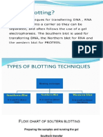 Blotting Trchinques