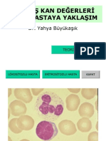 Artmiş Kan Değerleri̇ Olan Hastaya Yaklaşim