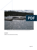 3.2 DOCKS Callander Municipal Marina Project Management Strategy