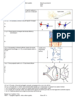 Test - Topografia, Celula, Maduva Spinarii