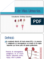 Infecciones Urinarias