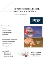 Muscles of The Facial Expression, Face and Neck