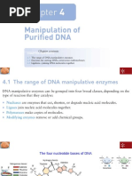 Ch04 Manipulation of Purified DNA 2023