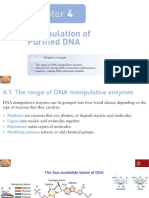 Ch04 Manipulation of Purified DNA 2023