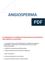 As principais características das Angiospermas
