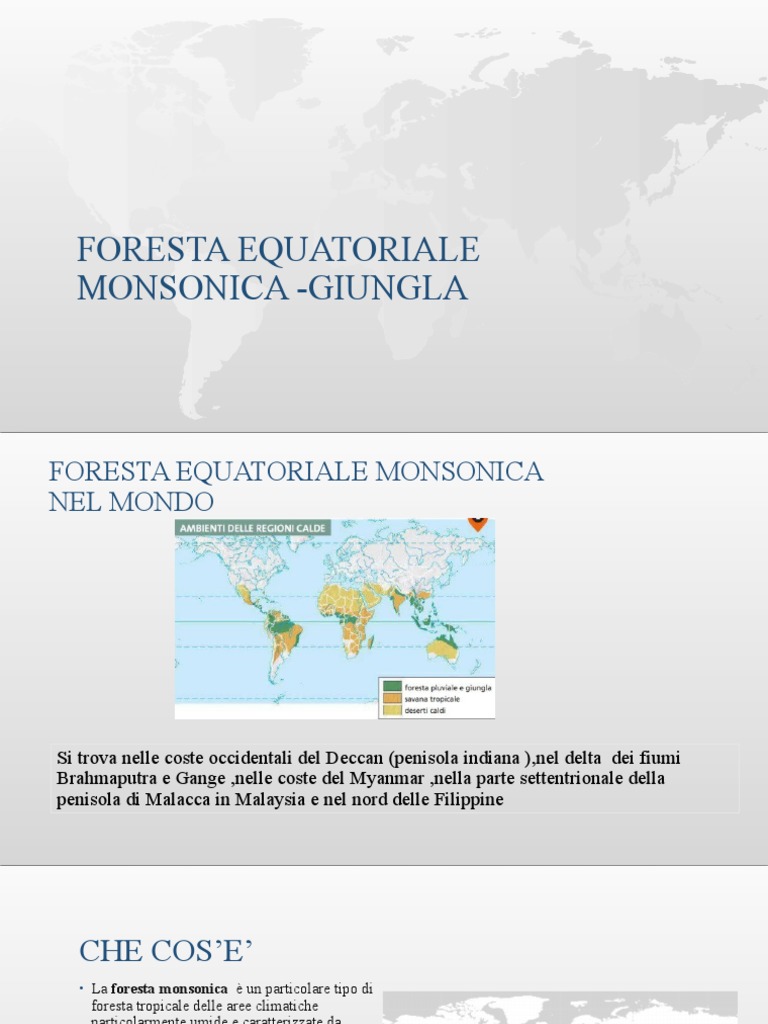 Foresta Equatoriale Monsonica - Giungla | PDF