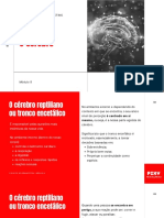 Curso Neuromarketing - Módulo 8 PDF