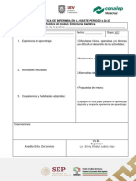 Reporte de Práctica (Geriatria) 6O2 ENFE PDF