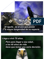 El Aguila