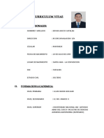 Curriculum Vitae - Ancco Catalan