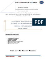 Rapport de Metallogenie Groupe 1 PDF