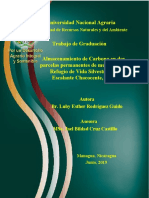Carbiono 2 PDF