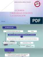 Infecciones Urinarias Durante La Gestacion: Universidad Nacional Hermilio Valdizan