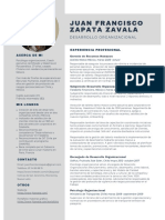 Juan Francisco Zapata Zavala: Desarrollo Organizacional