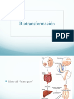 Biotransformación