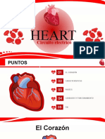 El sistema eléctrico del corazón: estructuras y funcionamiento