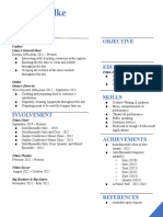 Resume Template 7