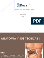 Colesictectomia.pdf
