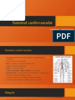 Sistemul Cardiovascular: A Elaborat: Garet Valerian