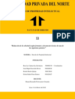 Documento Tecnico - Derecho de Propiedad Intelectual - ROSA LIZ