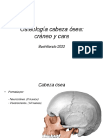 Clase 2 Osteologia de Cabeza Osea Bachillerato 2022