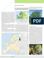 Salix Caprea Salix Caprea: Salix Caprea in Europe: Distribution, Habitat, Usage and Threats