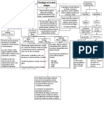 Mapa Conceptual Psicologia General