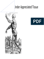 Fascia PDF