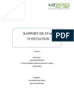 Rapport de Stage FV,,, PDF