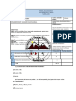 Evaluación 2do Año Básico